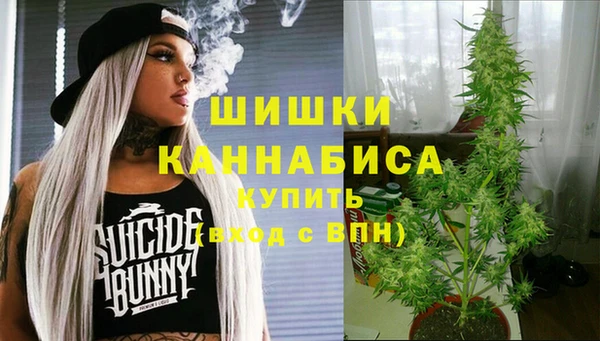 винт Абаза
