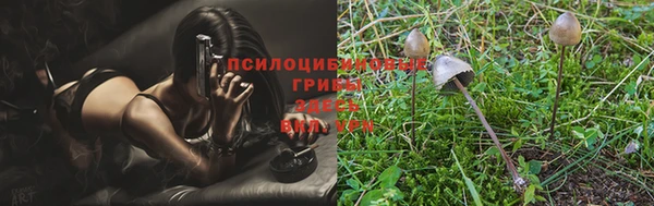 крисы Алексеевка
